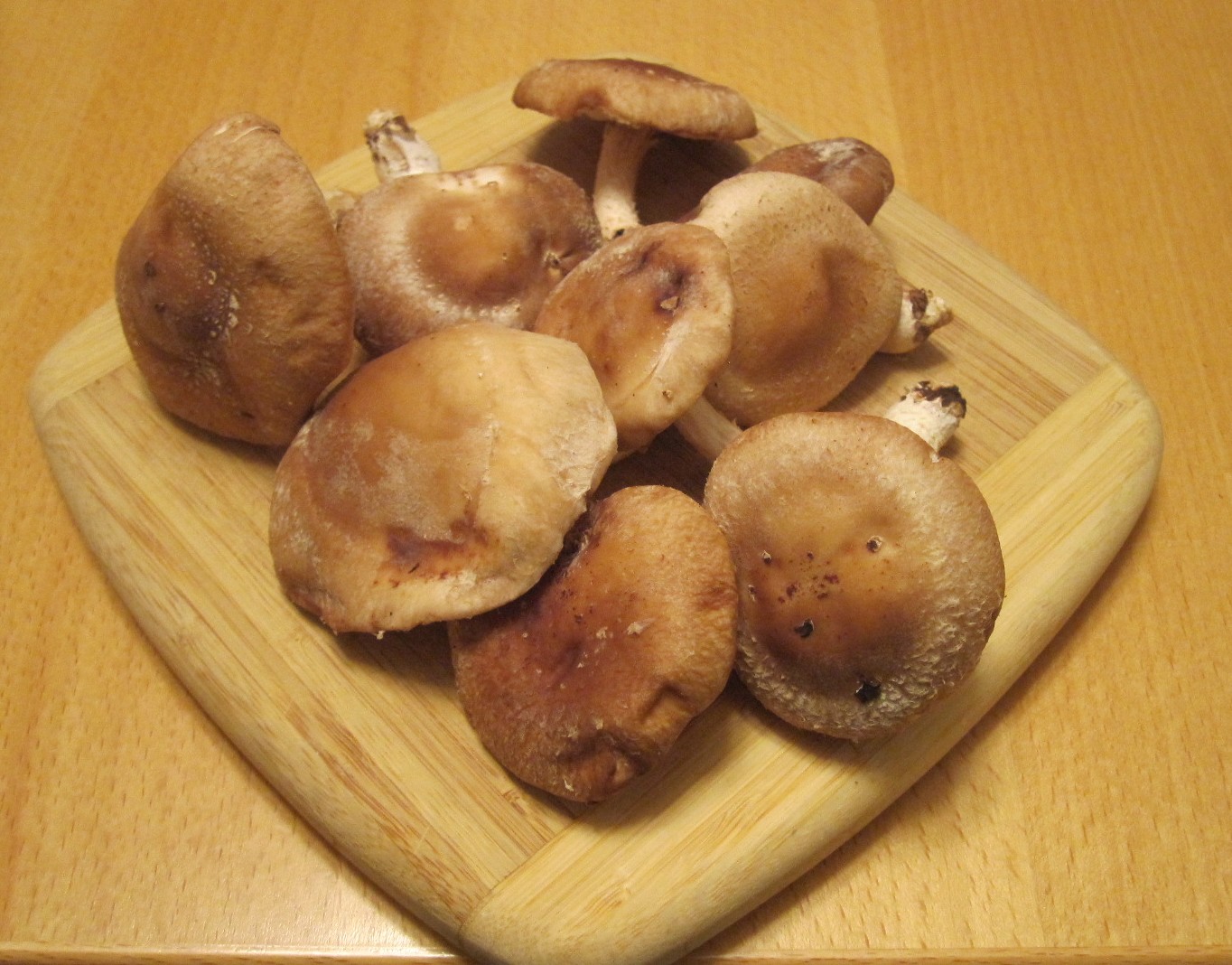 Shiitake Mushrooms and Phytonutrients