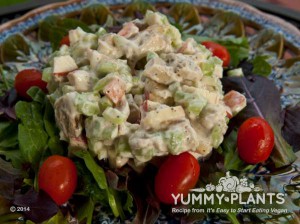 Vegan chicken- No Chicken Salad - Yummy Plants