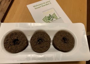 click and grow seed pods - learn how to grow plants inside in winter